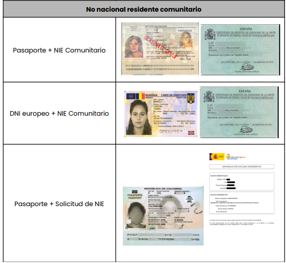 Captura de pantalla 2024-12-13 131306.png