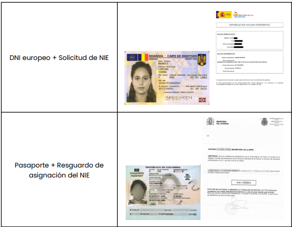 Captura de pantalla 2024-12-13 131543.png