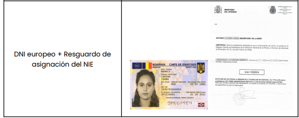 Captura de pantalla 2024-12-13 131727.png